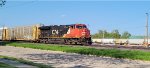 CN 3077